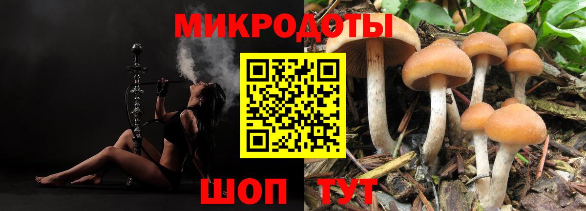 Галлюциногенные грибы Psilocybine cubensis  Вход с VPN  Лениногорск 