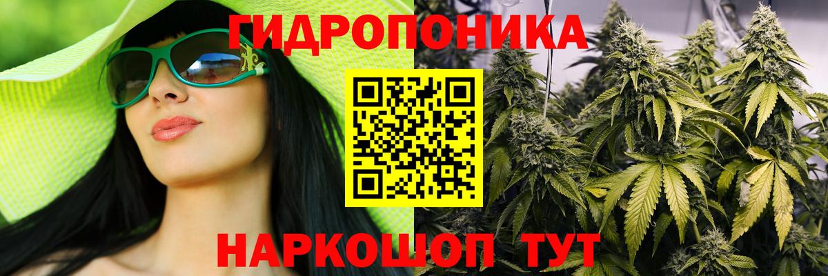 Конопля конопля Лениногорск